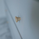 Knop Rut - Ubehandlet Aske 