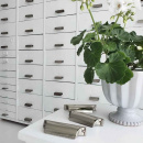 Greb Timjan - Forniklet