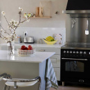 Greb Timjan - Forniklet