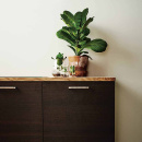 Greb Rattan - 160mm - Børstet Messing