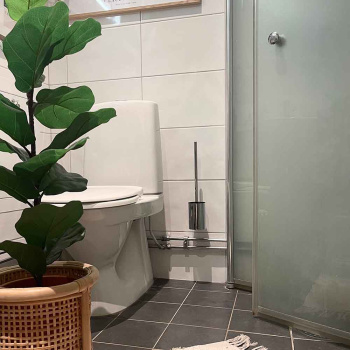 Toiletbørste Solid - Krom