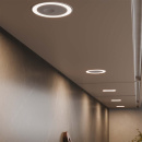 LED-Spot Holl D-M med låg - Rustfrit Look