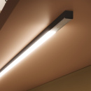 Blænding Beskyttelse Nexus Night & Day - 2000mm - Overflademonteret