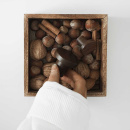 Knop Circum - Valnød